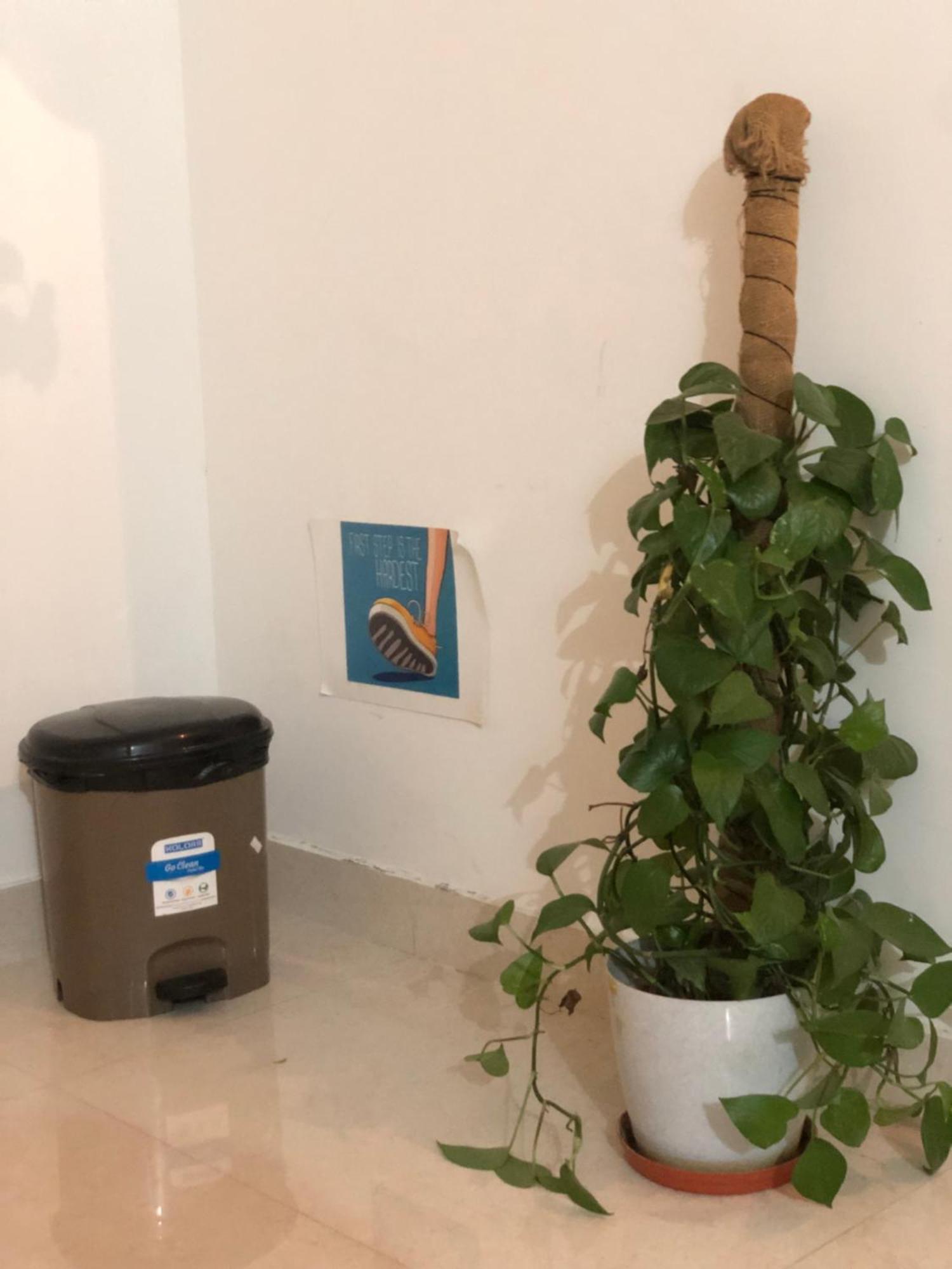 Sapthagiri Nest Διαμέρισμα Chikmagalūr Εξωτερικό φωτογραφία